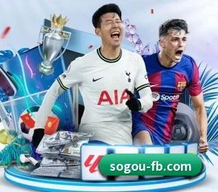 FB体育的方向 | fbsport